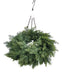 Cedar Hanging Wreath with Chain - Green (60cm diameter)