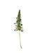 Christmas Tree Spray - Green (40cm long)