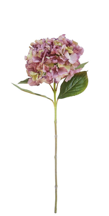 Dry Hydrangea - Purple/Green (25cm diameter, 80cm long)