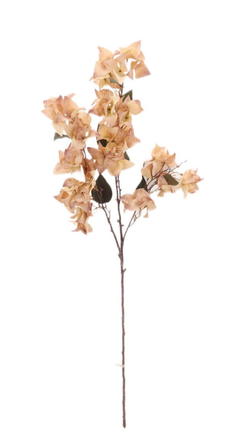 Dry Bougainvillea Spray - Pink (108cm long)