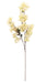 Dry Bougainvillea Spray - Cream (108cm long)