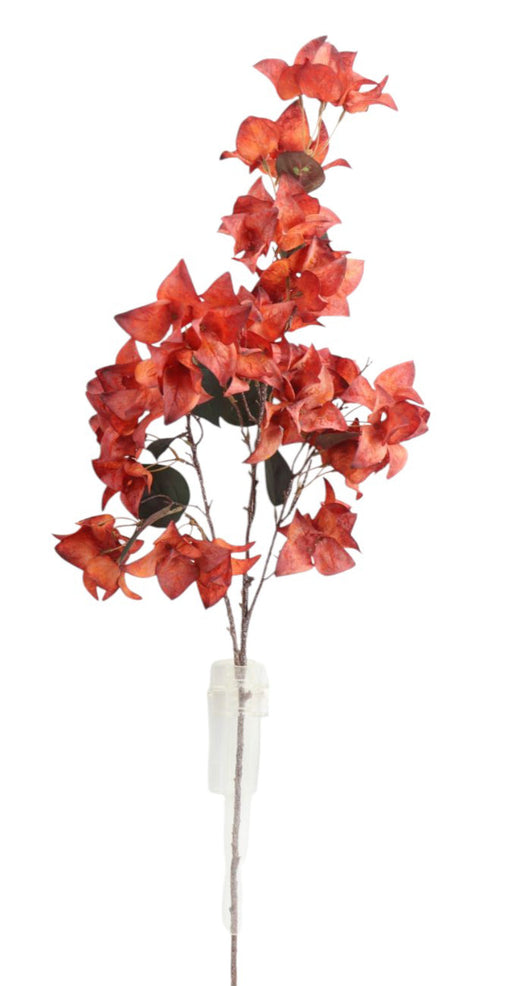 Dry Bougainvillea Spray - Orange (108cm long)