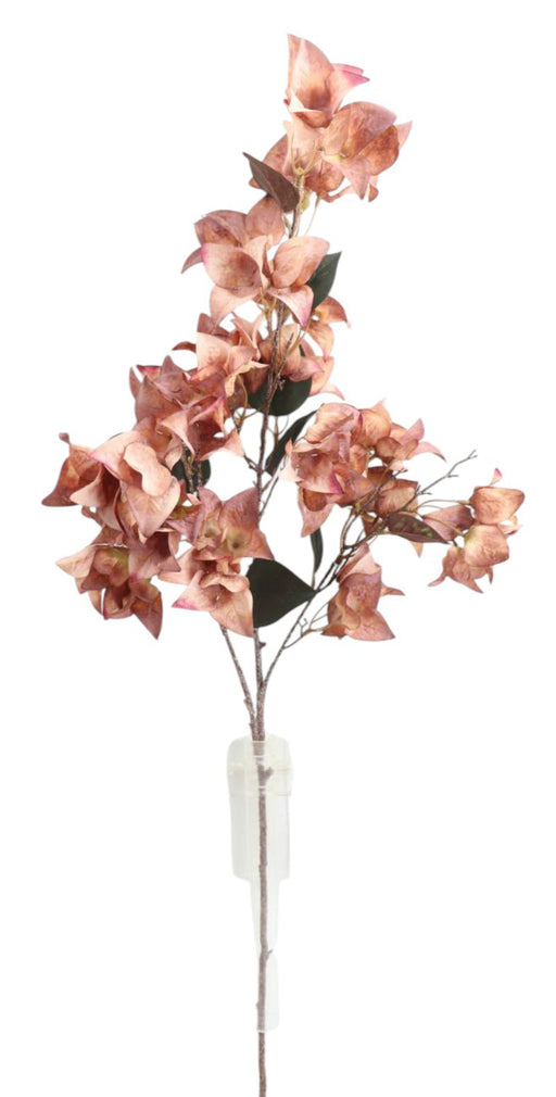 Dry Bougainvillea Spray - Mauve (108cm long)