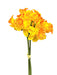 Daffodil Bunch - Yellow/Orange (9 heads, 39cm long)