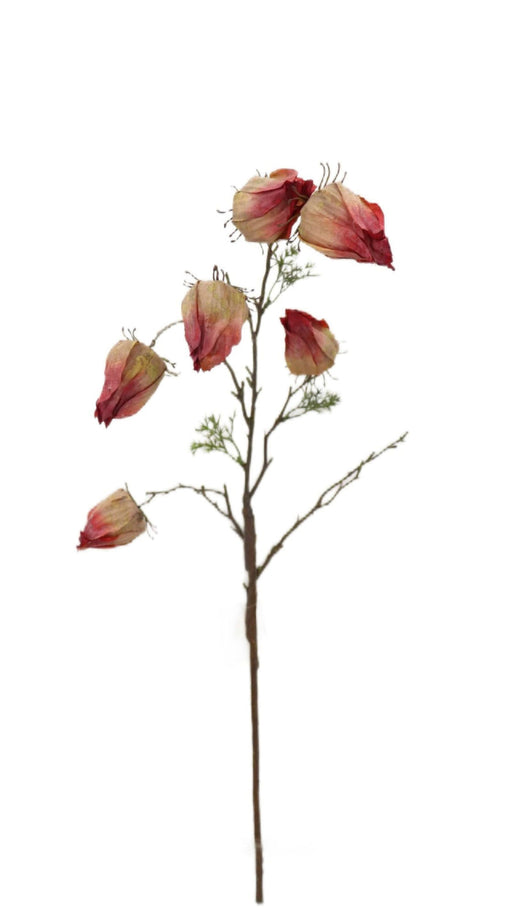Dry Chinese Lantern Spray - Red/Orange (70cm long)