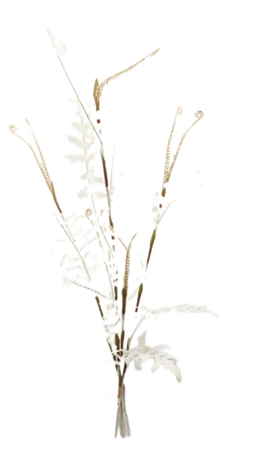 Artificial Dry Fern Bundle - White/Ivory (120cm long with 5 stems)