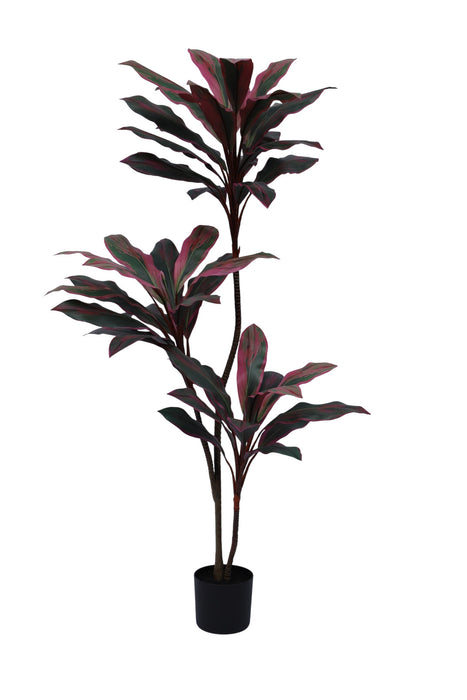 Real Touch Dracaena Cordyline in Pot – Red, UV Protected (160cm tall)
