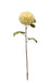 Artificial Dahlia Stem - Ivory (74cm long, 14cm diameter)