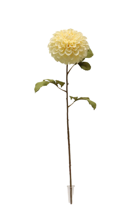 Artificial Dahlia Stem - Ivory (74cm long, 14cm diameter)