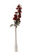 Delphinium Spray - Red(77cm long)