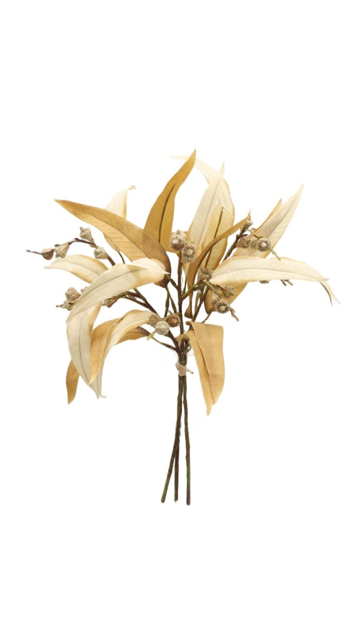 Eucalyptus Nicolii and Pod Bundle - Beige (49cm long, with 3 stems)