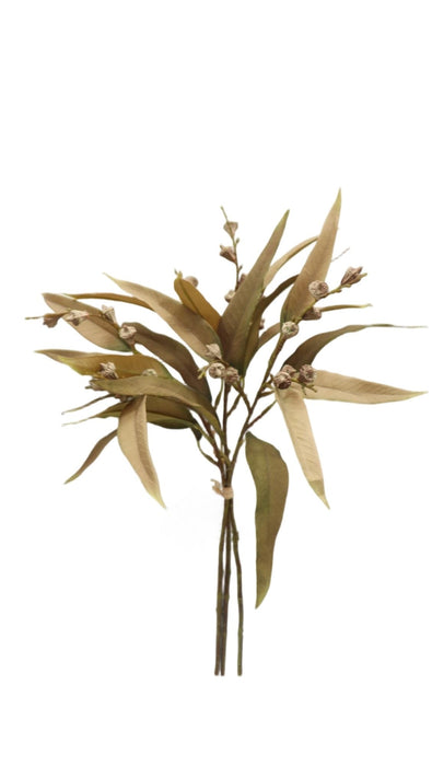 Eucalyptus Nicolii and Pod Bundle - Dark Beige (49cm long, with 3 stems)