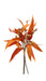 Eucalyptus Nicolii and Pod Bundle - Orange (49cm long, with 3 stems)