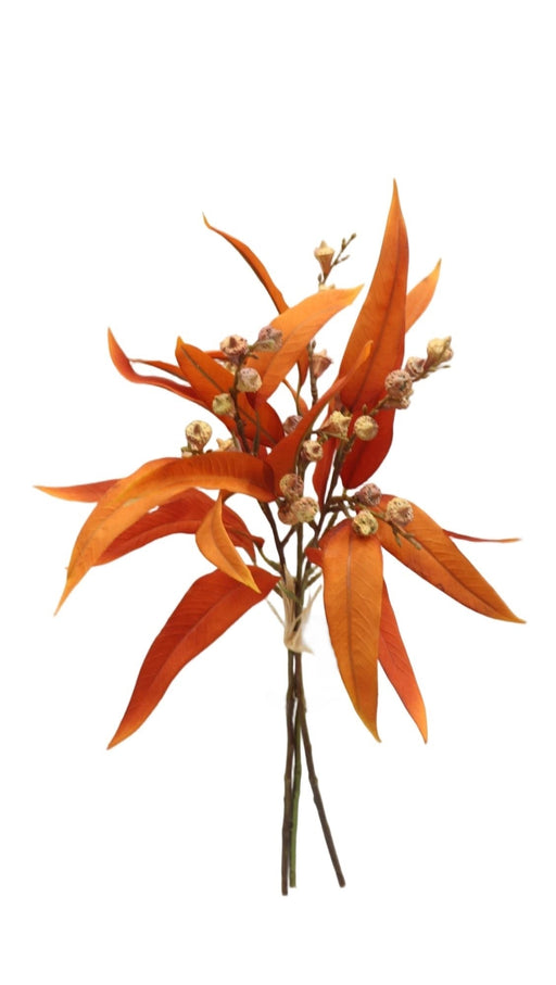 Eucalyptus Nicolii and Pod Bundle - Orange (49cm long, with 3 stems)