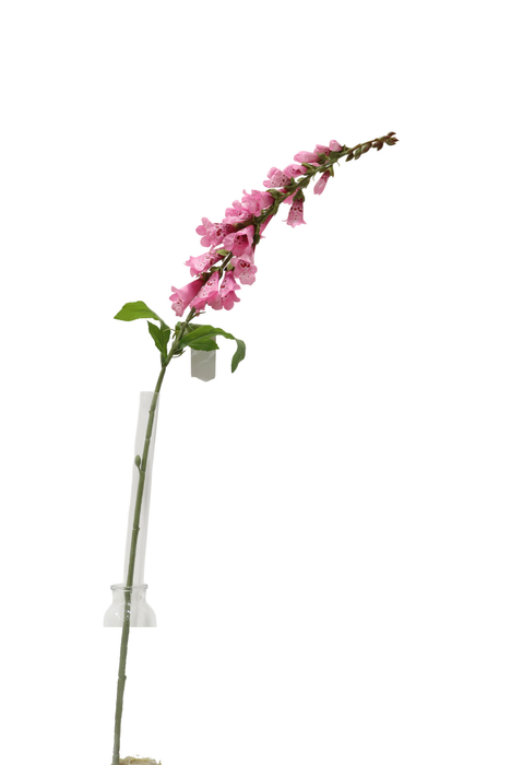 Foxglove Spray – Pink (92cm long)