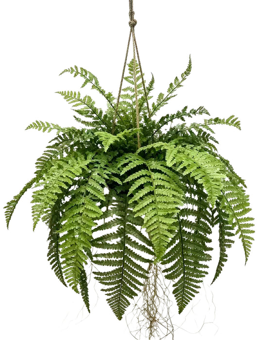 Fern Hanging Basket – Green, UV Protected (90cm long)