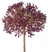 Gypsophila Bush - Purple (32cm long)