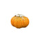 Artificial Pumpkin - Green/Orange (30cm diameter)