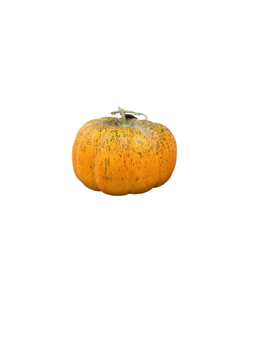 Artificial Pumpkin - Green/Orange (33cm diameter)