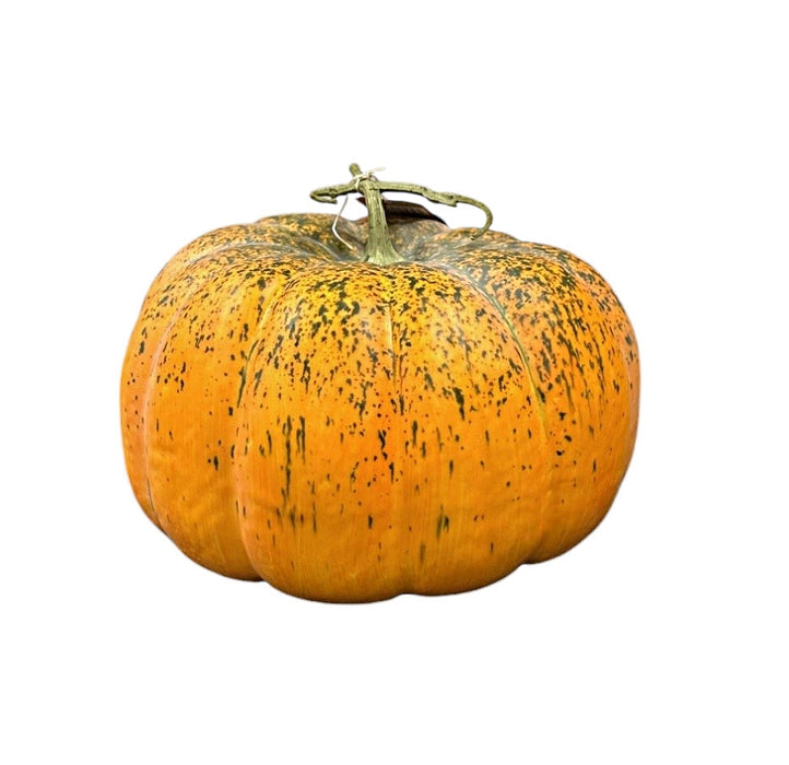 Artificial Pumpkin - Green/Orange (33cm diameter)