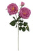 Garden Rose Spray - Purple (2 heads, 1 bud. 59cm long)