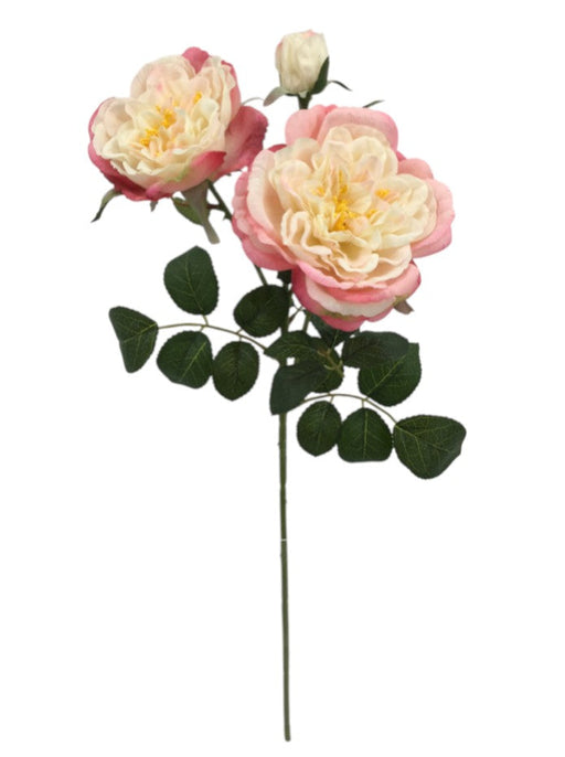 Garden Rose Spray - Pink & Ivory (2 heads, 1 bud. 59cm long)