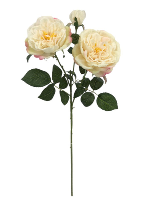 Garden Rose Spray - Pale Pink & Ivory (2 heads, 1 bud. 59cm long)