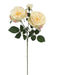 Garden Rose Spray - Pale Pink & Ivory (2 heads, 1 bud. 59cm long)