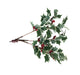 Holly Branch - Variegated