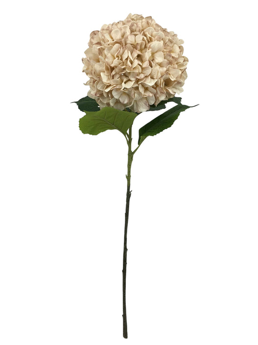 Large Hydrangea – Taupe (30cm diameter, 106cm long)