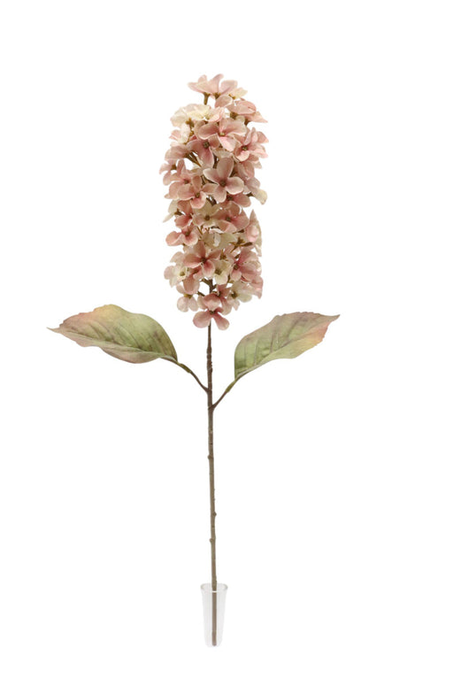 Dry Look Panicled Hydrangea Stem - Light Pink (68cm long)