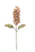 Dry Look Panicled Hydrangea Stem - Light Pink (68cm long)