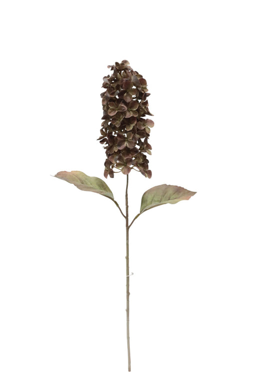 Dry Look Panicled Hydrangea Stem - Brown (68cm long)