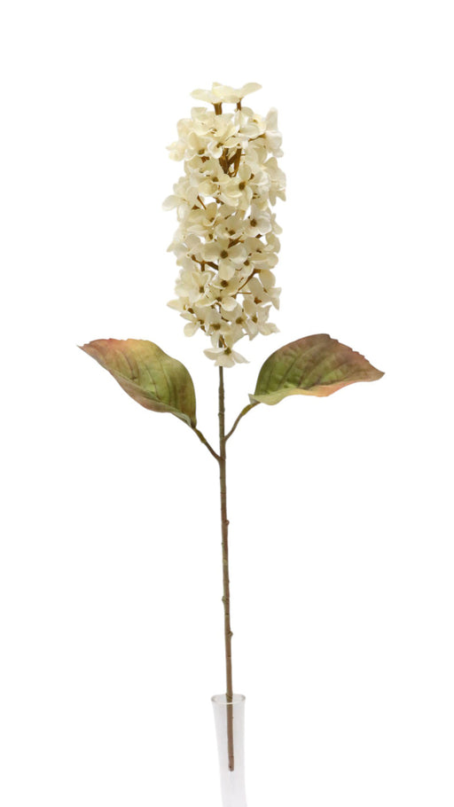 Dry Look Panicled Hydrangea Stem - Ivory (68cm long)