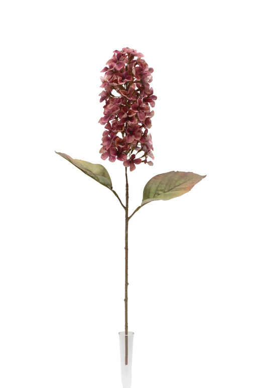 Dry Look Panicled Hydrangea Stem - Pink (68cm long)