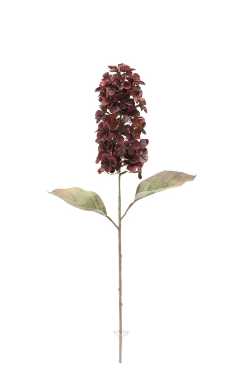 Dry Look Panicled Hydrangea Stem - Burgundy (68cm long)