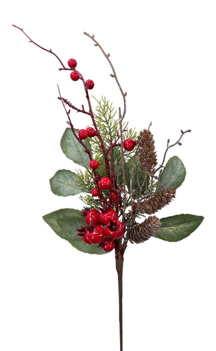 Hips and Pine Cone Branch - Natural (53cm long)