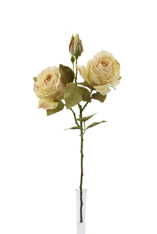 3 Headed Rose Stem - Cream Mix (55cm long, with 3 heads)