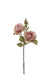 3 Headed Rose Stem - Pink Mix (55cm long, with 3 heads)