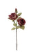 3 Headed Rose Stem - Burgundy Mix(55cm long, with 3 heads)