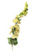 Artificial Hollyhocks Spray - Ivory (110cm long)