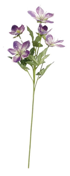 Heleborus Spray - Purple (5 heads, 49cm long)