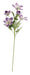 Heleborus Spray - Purple (5 heads, 49cm long)