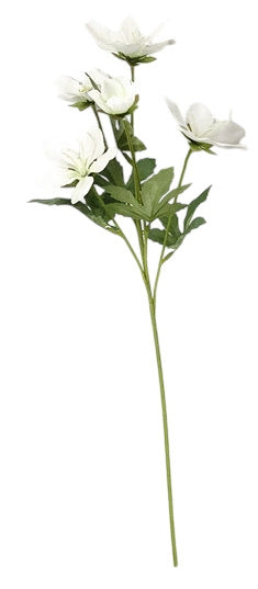 Heleborus Spray - Ivory (5 heads, 49cm long)
