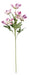 Heleborus Spray - Mauve (5 heads, 49cm long)
