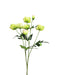 Helleborus Spray - Green (70cm long, 6 heads and 1 bud)