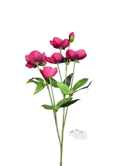 Helleborus Spray - Cerise (70cm long, 6 heads and 1 bud)