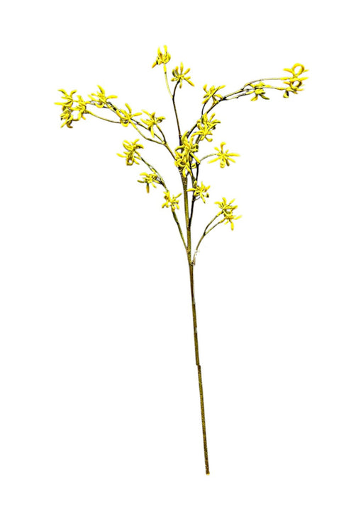 Kangaroo Paw Spray - Yellow (95cm long)