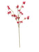 Kangaroo Paw Spray - Red (95cm long)