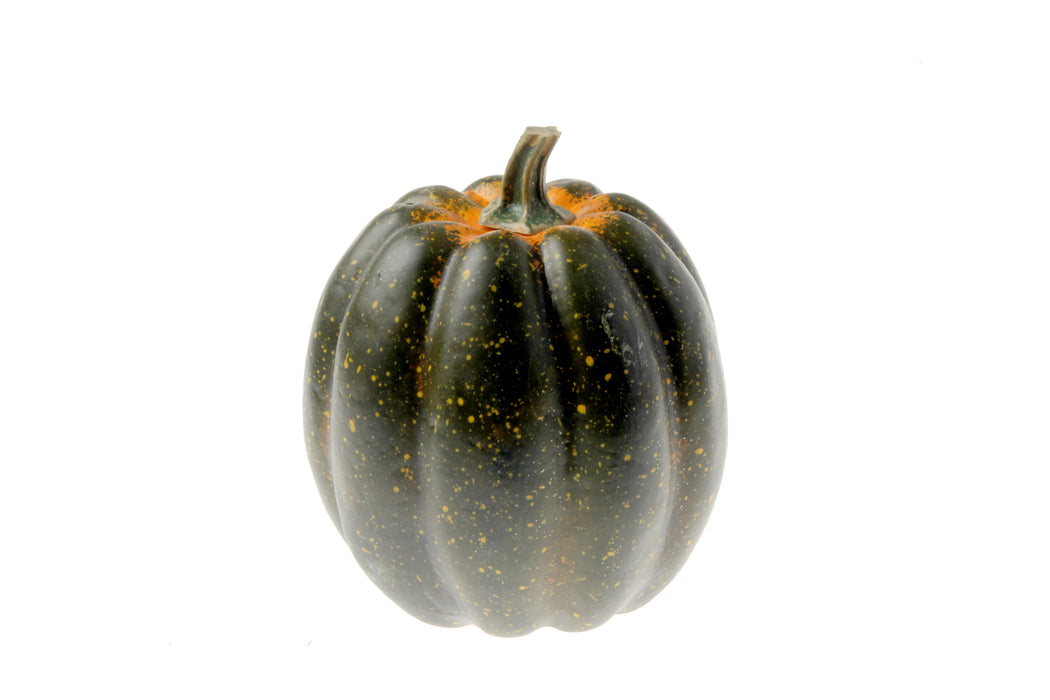 Large Green Appalachian Pumpkin (24x25cm)